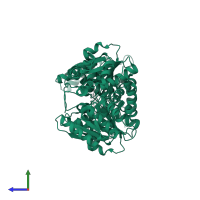 Serine racemase in PDB entry 3hmk, assembly 1, side view.