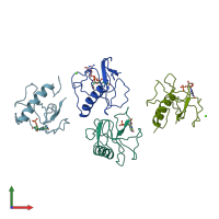 PDB entry 3hoh coloured by chain, front view.