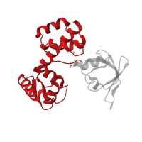 The deposited structure of PDB entry 3hrt contains 2 copies of CATH domain 1.10.10.10 (Arc Repressor Mutant, subunit A) in HTH dtxR-type domain-containing protein. Showing 1 copy in chain A.