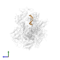 DNA (5'-D(*AP*GP*TP*AP*CP*TP*TP*GP*AP*GP*CP*T)-3') in PDB entry 3i4m, assembly 1, side view.