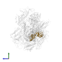 DNA-directed RNA polymerase II subunit RPB7 in PDB entry 3i4n, assembly 1, side view.