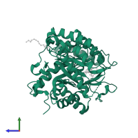 Dihydroorotate dehydrogenase (quinone), mitochondrial in PDB entry 3i65, assembly 1, side view.