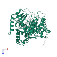 Dihydroorotate dehydrogenase (quinone), mitochondrial in PDB entry 3i65, assembly 1, top view.