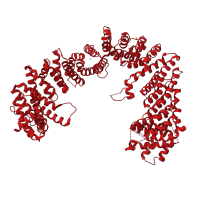 The deposited structure of PDB entry 3ibv contains 2 copies of CATH domain 1.25.10.10 (Leucine-rich Repeat Variant) in Exportin-T. Showing 1 copy in chain A.
