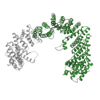 The deposited structure of PDB entry 3ibv contains 2 copies of Pfam domain PF19282 (Exportin-T) in Exportin-T. Showing 1 copy in chain A.
