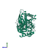 Hexokinase-4 in PDB entry 3id8, assembly 1, side view.