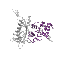 The deposited structure of PDB entry 3ifc contains 4 copies of Pfam domain PF18913 (Fructose-1-6-bisphosphatase, C-terminal domain) in Fructose-1,6-bisphosphatase isozyme 2. Showing 1 copy in chain A.