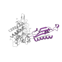 The deposited structure of PDB entry 3ife contains 1 copy of Pfam domain PF07687 (Peptidase dimerisation domain) in Peptidase T. Showing 1 copy in chain A.