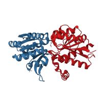 The deposited structure of PDB entry 3ipa contains 2 copies of CATH domain 3.40.50.2300 (Rossmann fold) in Leucine-binding protein domain-containing protein. Showing 2 copies in chain A.