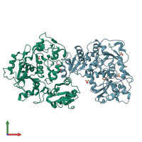 PDB entry 3ipp coloured by chain, front view.