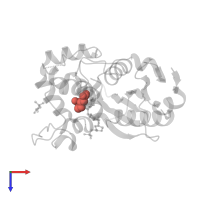 Modified residue KCX in PDB entry 3isg, assembly 2, top view.