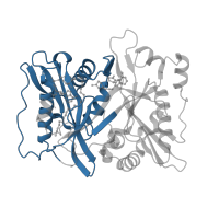 The deposited structure of PDB entry 3iu2 contains 2 copies of Pfam domain PF01233 (Myristoyl-CoA:protein N-myristoyltransferase, N-terminal domain) in Glycylpeptide N-tetradecanoyltransferase 1. Showing 1 copy in chain A.