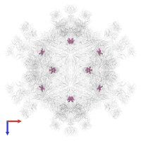 MYRISTIC ACID in PDB entry 3j3o, assembly 1, top view.