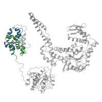 The deposited structure of PDB entry 3j3r contains 12 copies of Pfam domain PF02861 (Clp amino terminal domain, pathogenicity island component) in Negative regulator of genetic competence ClpC/MecB. Showing 2 copies in chain G [auth A].