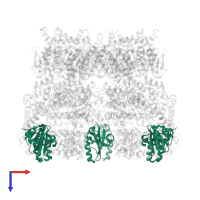 Adapter protein MecA 1 in PDB entry 3j3r, assembly 1, top view.