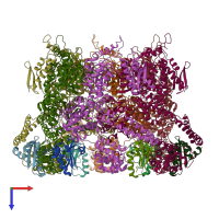 PDB entry 3j3t coloured by chain, top view.