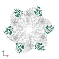 Adapter protein MecA 1 in PDB entry 3j3t, assembly 1, front view.