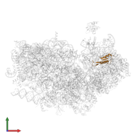 Ribosomal protein S10 domain-containing protein in PDB entry 3j7a, assembly 1, front view.