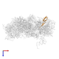 Ribosomal protein S10 domain-containing protein in PDB entry 3j7a, assembly 1, top view.