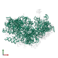 18S Ribosomal RNA in PDB entry 3j7a, assembly 1, front view.
