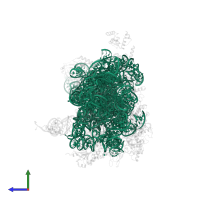18S Ribosomal RNA in PDB entry 3j7a, assembly 1, side view.