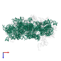18S Ribosomal RNA in PDB entry 3j7a, assembly 1, top view.