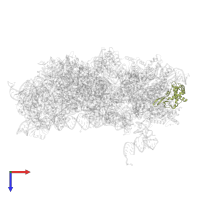 40S ribosomal protein S19 in PDB entry 3j7a, assembly 1, top view.