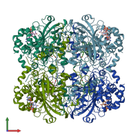 PDB entry 3j7b coloured by chain, front view.