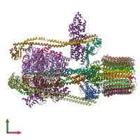 PDB entry 3j9u coloured by chain, front view.