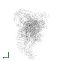 Messenger RNA in PDB entry 3jap, assembly 1, side view.