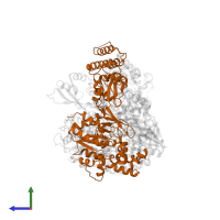 Viral structural protein 4 in PDB entry 3jb6, assembly 1, side view.