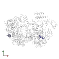 VP1 in PDB entry 3jb6, assembly 1, front view.