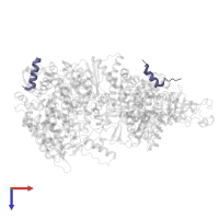 VP1 in PDB entry 3jb6, assembly 1, top view.