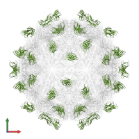 nanobody VHH PVSP6A in PDB entry 3jbd, assembly 1, front view.