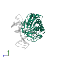 Formamidopyrimidine-DNA glycosylase in PDB entry 3jr5, assembly 1, side view.