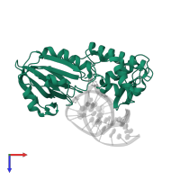 Formamidopyrimidine-DNA glycosylase in PDB entry 3jr5, assembly 1, top view.