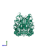 Arginine kinase in PDB entry 3ju6, assembly 1, side view.