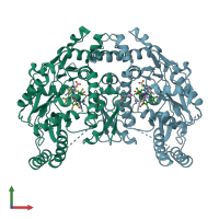 PDB entry 3jws coloured by chain, front view.