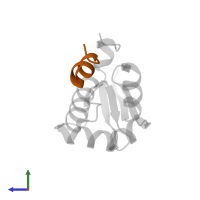 pDI6W peptide (12mer) in PDB entry 3jzr, assembly 1, side view.