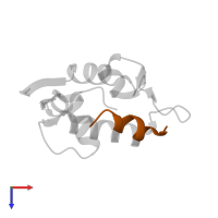 pDI6W peptide (12mer) in PDB entry 3jzr, assembly 1, top view.