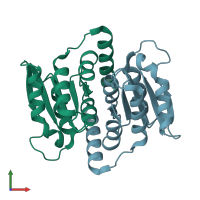 PDB entry 3k7o coloured by chain, front view.