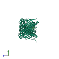 Homo tetrameric assembly 5 of PDB entry 3k99 coloured by chemically distinct molecules, side view.