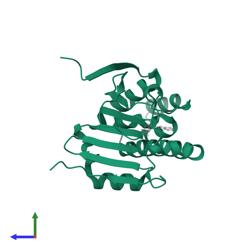 Heat shock protein HSP 90-alpha in PDB entry 3k99, assembly 1, side view.