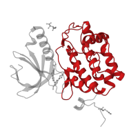 The deposited structure of PDB entry 3kb7 contains 1 copy of CATH domain 1.10.510.10 (Transferase(Phosphotransferase); domain 1) in Serine/threonine-protein kinase PLK1. Showing 1 copy in chain A.