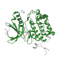 The deposited structure of PDB entry 3kb7 contains 1 copy of Pfam domain PF00069 (Protein kinase domain) in Serine/threonine-protein kinase PLK1. Showing 1 copy in chain A.