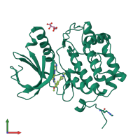 PDB entry 3kb7 coloured by chain, front view.