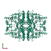 Fructose-1,6-bisphosphatase 1 in PDB entry 3kc0, assembly 1, front view.