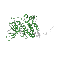 The deposited structure of PDB entry 3kex contains 2 copies of Pfam domain PF07714 (Protein tyrosine and serine/threonine kinase) in Receptor tyrosine-protein kinase erbB-3. Showing 1 copy in chain A.