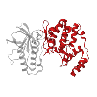 The deposited structure of PDB entry 3kf7 contains 1 copy of CATH domain 1.10.510.10 (Transferase(Phosphotransferase); domain 1) in Mitogen-activated protein kinase 14. Showing 1 copy in chain A.