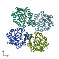 PDB entry 3kru coloured by chain, front view.